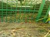 बहराइच : शावक की तलाश में पिंजड़े में कैद हुई मादा तेंदुआ