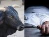 शाहजहांपुर: सांड के हमले में घायल किसान नेता के भाई की मौत