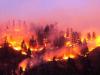 नैनीताल: शुष्क मौसम के चलते वनों को आग से नुकसान का अंदेशा