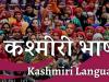 कश्मीरी भाषा को माइक्रोसॉफ्ट अनुवाद सेवाओं में शामिल करना एक उपहार: अदबी मरकज़ 