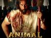 Animal Box Office Collection : बॉक्स ऑफिस पर 'एनिमल' का जादू, वर्ल्डवाइड 356 करोड़ रुपये का किया कारोबार 