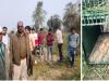 बिजनौर: गुलदार को पकड़ने के लिए वन विभाग की टीम ने जंगल में लगाया पिंजरा, नौ साल की बच्ची ले चुका जान
