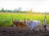बरेली: बिथरी और भुता ब्लाक में 2.42 करोड़ से बनेंगे किसान कल्याण केंद्र