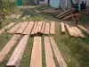 खटीमा: वन विभाग ने पकड़ी सेमल की चिरान हुई लकड़ी, वाहन सीज