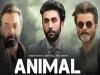 Animal Box Office Collection : 'एनिमल' ने मचाया भौकाल, फिल्म की जबरदस्त सफलता मिलने से इमोशनल हुए बॉबी देओल