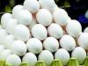 बरेली: सर्दी बढ़ते ही अंडों के दामों में आई गर्मी...30 प्रतिशत तक उछली कीमत, हैदराबादी अंडे की सबसे ज्यादा डिमांड