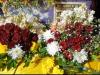 बहराइच में थाइलैंड और नेपाल के गुलाब ने मचाया धमाल, देर रात से सुबह तक होती रही खरीददारी
