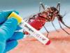 श्रीलंका में डेंगू के 5000 से अधिक मामलों की पुष्टि, 57 की मौत 