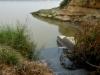 Kanpur: माघ स्नान से पहले गंगा और पांडु नदी प्रदूषित करने पर 90 लाख जुर्माना... अब नगर निगम के खिलाफ होगी कार्रवाई