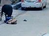 बरेली: संजयनगर में पूरे दिन गुस्साए सांड का उत्पात... एक बुजुर्ग की मौत, 12 लोगों को किया घायल
