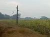 अयोध्या: बारिश और हवा से गुल हुई पूरा के चालीस गांवों की बिजली 