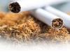 Kanpur में पुरुषों के कैंसर में तंबाकू 57 फीसदी कारण... हर साल 30 फीसदी बढ़ रहे फेफड़े के कैंसर के रोगी, ये है लक्षण   