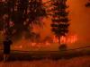 चिली : जंगल की आग घनी आबादी वाले इलाके में फैलने से 46 लोगों की मौत, 1100 मकान जलकर खाक