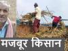 बहराइच: घर का खर्च पूरा करने के लिए घाटे का सौदा कर रहे किसान, क्रशर पर गन्ना बेचने को हैं विवश