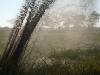 रायबरेली: फटी एनटीपीसी की ऐश पाइप लाइन, राख युक्त पानी से सराबोर हुए खेत 