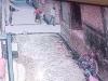 Auraiya में बदमाश बेखौफ...दिनदहाड़े छात्रा का अपहरण करने का किया प्रयास, पूरी घटना CCTV में कैद