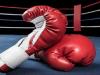इटली में पेरिस ओलंपिक कोटा हासिल करने की कोशिश करेंगे भारतीय मुक्केबाज 