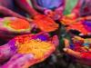 Fatehpur: रंगोत्सव की सज गईं दुकानें, हर्बल गुलाल व पिचकारी की बढ़ी मांग, चाइना मेड सामानों को लोगों ने किया बाय-बाय