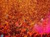 Mathura: वृंदावन में फूलों वाली होली की धूम, खपत बढ़ने से रोजाना हो रहा करोड़ों का कारोबार 