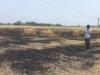 बाराबंकी: शार्ट सर्किट से खेत में लगी आग, गेंहू की फसल जलकर राख   