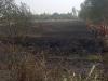 अयोध्या में शार्ट सर्किट से लगी आग, 40 बीघा गेहूं की फसल जलकर राख
