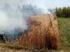 सीतापुर: आग की लपटों से 12 घरों सहित 20 बीघा गेहूं और गन्ने की जली फसल 