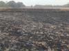 सुलतानपुर में आग का तांडव: कादीपुर में 10 तो दोस्तपुर में पांच बीघा गेहूं की फसल जलकर राख