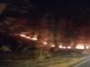 बहराइच: कतर्नियाघाट जंगल में लगी आग फैली, वन अधिकारी मस्त