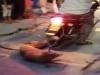 Video: लखनऊ में दम्पति ने स्ट्रीट डॉग को खम्भे से बांधकर पीटा, तोड़ डाला पैर-चिल्लाता रहा बेजुबान, बाइक पर दूर तक घसीटा  