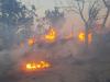 गोंडा: अज्ञात कारणों से चकिया गांव में लगी आग, 41 घर जलकर स्वाहा