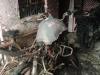Kanpur: संदिग्ध परिस्थितियों में लगी आग...मकान में रह रहे बुजुर्ग दंपति झुलसे, गृहस्थी और वाहन जलकर खाक