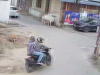 Kanpur Loot: बाइक सवार बदमाशों ने मॉर्निंग वॉक करने निकली महिला की लूटी चेन...वारदात CCTV में कैद