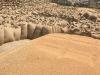 Moradabad News : गेहूं खरीद में मुरादाबाद संभाग प्रदेश में चौथे स्थान पर, 41272 मीट्रिक टन हुई है खरीद