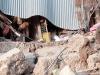 लखीमपुर-खीरी: तेज आंधी में ढही दीवार, दो पशुओं की मौत 
