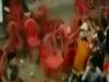 बाराबंकी: आर्केस्ट्रा के दौरान कुर्सी को लेकर हुआ विवाद, मची भगदड़, एक पुलिसकर्मी घायल