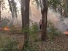 अग्निकांड : सिल्वर हाइट्स के चौथे तल पर लगी आग