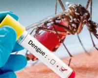 Kanpur में नहीं थम रहा डेंगू का कहर, स्वास्थ्य विभाग के सारे दावे हो रहे फेल, बढ़ती जा रही संक्रमितों की संख्या