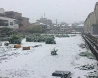 जापान में Heavy Snowfall से तीन लोगों की मौत, जनजीवन हुआ प्रभावित 