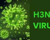बरेली: शहर में H3N2 ने दी दस्तक, आठ लोगों में मिले लक्षण...आप भी हो जाएं सतर्क