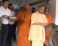 बलरामपुर : CM योगी ने की मां पाटेश्वरी शक्तिपीठ की पूजा, गायों को खिलाया चारा
