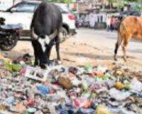 Kanpur: स्वच्छता सर्वेक्षण की समीक्षा में शहर फेल, ग्रांट थेर्लटन एलएलपी भारत की टीम के निरीक्षण में कार्य मिले अधूरे