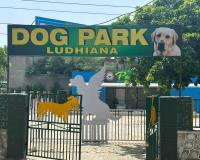 पंजाब के लुधियाना में कुत्तों के लिए उत्तर भारत का पहला पार्क खुला 