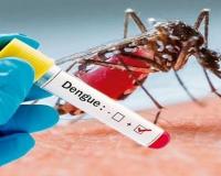 लखनऊ में रोज मिल रहे डेंगू के मरीज, 20 दिन में 200 से अधिक लोग आये चपेट में, जानें कैसे थमेगा बुखार