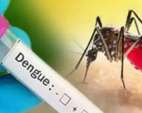 मुरादाबाद: जिला अस्पताल में 33 बुखार, 12 डेंगू संक्रमित भर्ती