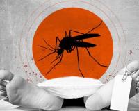 Breaking News: हल्द्वानी में डेंगू से महिला की मौत, मचा हड़कंप