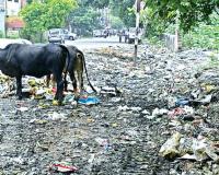Amrit Vichar Investigation: शारदा नगर में टूटी सड़कें और नलों से गंदा पानी, जगह-जगह लगे गंदगी के ढेर, मोहल्लेवासी परेशान