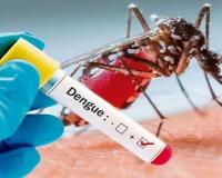 कर्नाटक में डेंगू के 7,000 से अधिक मामले आए सामने, CM ने आवश्यक कदम उठाने के निर्देश दिए 
