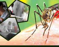 बरेली: डेंगू के सात नए मरीज मिले, 987 हुई संख्या