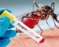 अयोध्या: डेंगू मरीजों का टूटा रिकॉर्ड, अब तक 733 मरीज मिले