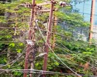 रामनगर: बिजली के पोल किए जाएंगे अंडरग्राउंड, महकमा लगा तैयारियों में...    